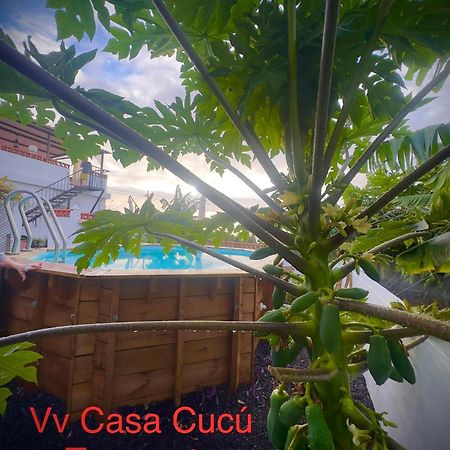 Casa Cucu Villa Tazacorte Dış mekan fotoğraf