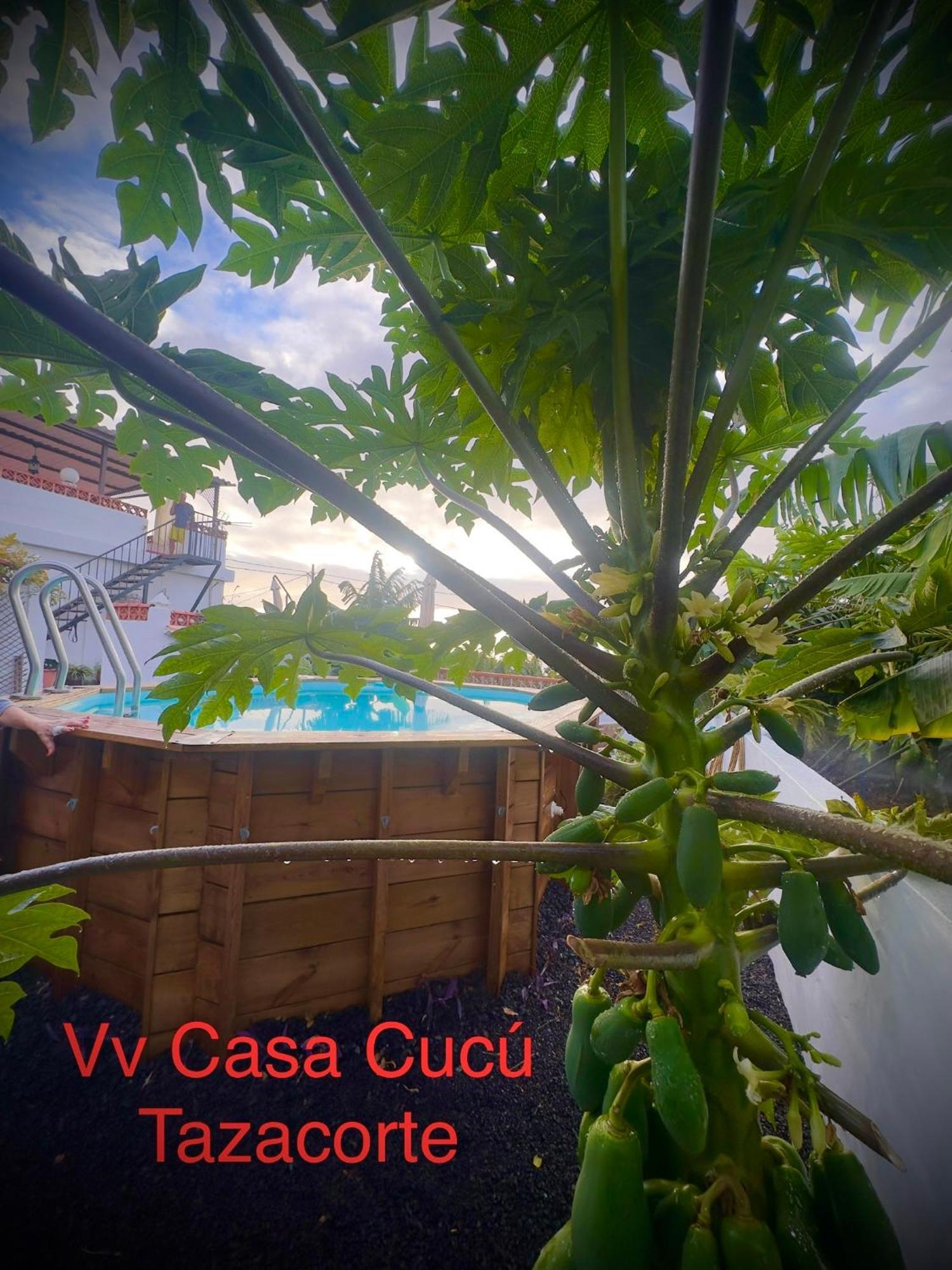 Casa Cucu Villa Tazacorte Dış mekan fotoğraf